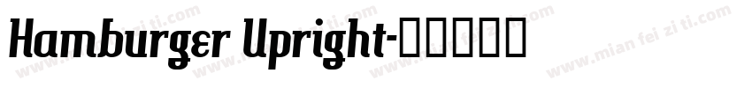 Hamburger Upright字体转换